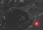 Image of 32nd Infantry 7th Division Okinawa Ryukyu Islands, 1945, second 50 stock footage video 65675052971