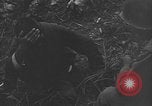 Image of 32nd Infantry 7th Division Okinawa Ryukyu Islands, 1945, second 51 stock footage video 65675052971