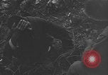 Image of 32nd Infantry 7th Division Okinawa Ryukyu Islands, 1945, second 52 stock footage video 65675052971