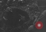 Image of 32nd Infantry 7th Division Okinawa Ryukyu Islands, 1945, second 55 stock footage video 65675052971