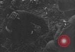 Image of 32nd Infantry 7th Division Okinawa Ryukyu Islands, 1945, second 56 stock footage video 65675052971