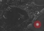 Image of 32nd Infantry 7th Division Okinawa Ryukyu Islands, 1945, second 57 stock footage video 65675052971