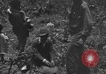 Image of 32nd Infantry 7th Division Okinawa Ryukyu Islands, 1945, second 60 stock footage video 65675052971