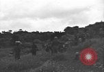 Image of 32nd Infantry 7th Division Okinawa Ryukyu Islands, 1945, second 6 stock footage video 65675052972