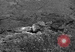 Image of 32nd Infantry 7th Division Okinawa Ryukyu Islands, 1945, second 20 stock footage video 65675052972