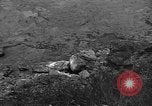 Image of 32nd Infantry 7th Division Okinawa Ryukyu Islands, 1945, second 24 stock footage video 65675052972
