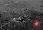Image of 32nd Infantry 7th Division Okinawa Ryukyu Islands, 1945, second 25 stock footage video 65675052972