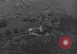 Image of 32nd Infantry 7th Division Okinawa Ryukyu Islands, 1945, second 28 stock footage video 65675052972