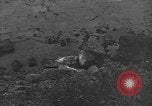 Image of 32nd Infantry 7th Division Okinawa Ryukyu Islands, 1945, second 29 stock footage video 65675052972