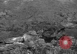 Image of 32nd Infantry 7th Division Okinawa Ryukyu Islands, 1945, second 39 stock footage video 65675052972
