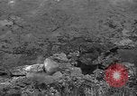 Image of 32nd Infantry 7th Division Okinawa Ryukyu Islands, 1945, second 40 stock footage video 65675052972