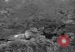 Image of 32nd Infantry 7th Division Okinawa Ryukyu Islands, 1945, second 41 stock footage video 65675052972