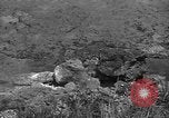 Image of 32nd Infantry 7th Division Okinawa Ryukyu Islands, 1945, second 43 stock footage video 65675052972