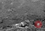 Image of 32nd Infantry 7th Division Okinawa Ryukyu Islands, 1945, second 55 stock footage video 65675052972