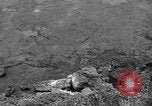 Image of 32nd Infantry 7th Division Okinawa Ryukyu Islands, 1945, second 56 stock footage video 65675052972