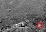 Image of 32nd Infantry 7th Division Okinawa Ryukyu Islands, 1945, second 57 stock footage video 65675052972
