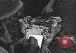 Image of 32nd Infantry 7th Division Okinawa Ryukyu Islands, 1945, second 16 stock footage video 65675052973