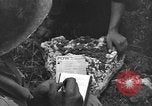Image of 32nd Infantry 7th Division Okinawa Ryukyu Islands, 1945, second 20 stock footage video 65675052973