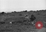 Image of 32nd Infantry 7th Division Okinawa Ryukyu Islands, 1945, second 46 stock footage video 65675052973