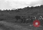 Image of 32nd Infantry 7th Division Okinawa Ryukyu Islands, 1945, second 60 stock footage video 65675052973