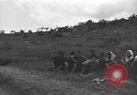 Image of 32nd Infantry 7th Division Okinawa Ryukyu Islands, 1945, second 61 stock footage video 65675052973