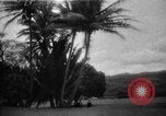 Image of Kapiolani Park Honolulu Hawaii USA, 1919, second 16 stock footage video 65675052981