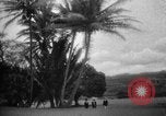 Image of Kapiolani Park Honolulu Hawaii USA, 1919, second 20 stock footage video 65675052981