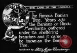 Image of Kapiolani Park Honolulu Hawaii USA, 1919, second 32 stock footage video 65675052981