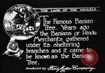 Image of Kapiolani Park Honolulu Hawaii USA, 1919, second 36 stock footage video 65675052981