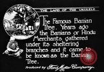 Image of Kapiolani Park Honolulu Hawaii USA, 1919, second 37 stock footage video 65675052981