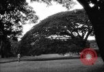 Image of Kapiolani Park Honolulu Hawaii USA, 1919, second 39 stock footage video 65675052981