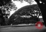Image of Kapiolani Park Honolulu Hawaii USA, 1919, second 40 stock footage video 65675052981