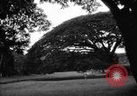Image of Kapiolani Park Honolulu Hawaii USA, 1919, second 47 stock footage video 65675052981