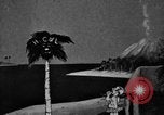 Image of animation Honolulu Hawaii USA, 1920, second 7 stock footage video 65675052982