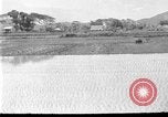 Image of rice paddies Japan, 1920, second 1 stock footage video 65675052988