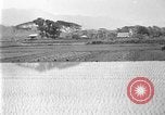 Image of rice paddies Japan, 1920, second 5 stock footage video 65675052988