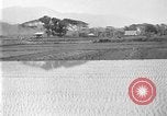 Image of rice paddies Japan, 1920, second 6 stock footage video 65675052988