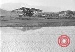 Image of rice paddies Japan, 1920, second 7 stock footage video 65675052988