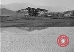 Image of rice paddies Japan, 1920, second 9 stock footage video 65675052988