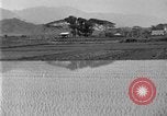 Image of rice paddies Japan, 1920, second 10 stock footage video 65675052988
