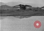 Image of rice paddies Japan, 1920, second 11 stock footage video 65675052988