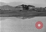 Image of rice paddies Japan, 1920, second 12 stock footage video 65675052988