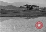 Image of rice paddies Japan, 1920, second 14 stock footage video 65675052988