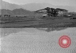 Image of rice paddies Japan, 1920, second 15 stock footage video 65675052988