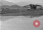 Image of rice paddies Japan, 1920, second 17 stock footage video 65675052988