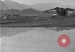 Image of rice paddies Japan, 1920, second 18 stock footage video 65675052988