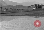 Image of rice paddies Japan, 1920, second 19 stock footage video 65675052988