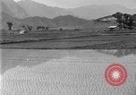 Image of rice paddies Japan, 1920, second 20 stock footage video 65675052988
