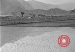 Image of rice paddies Japan, 1920, second 25 stock footage video 65675052988