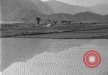 Image of rice paddies Japan, 1920, second 26 stock footage video 65675052988